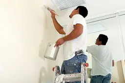 Pintura y mantenimiento de muros y plafones